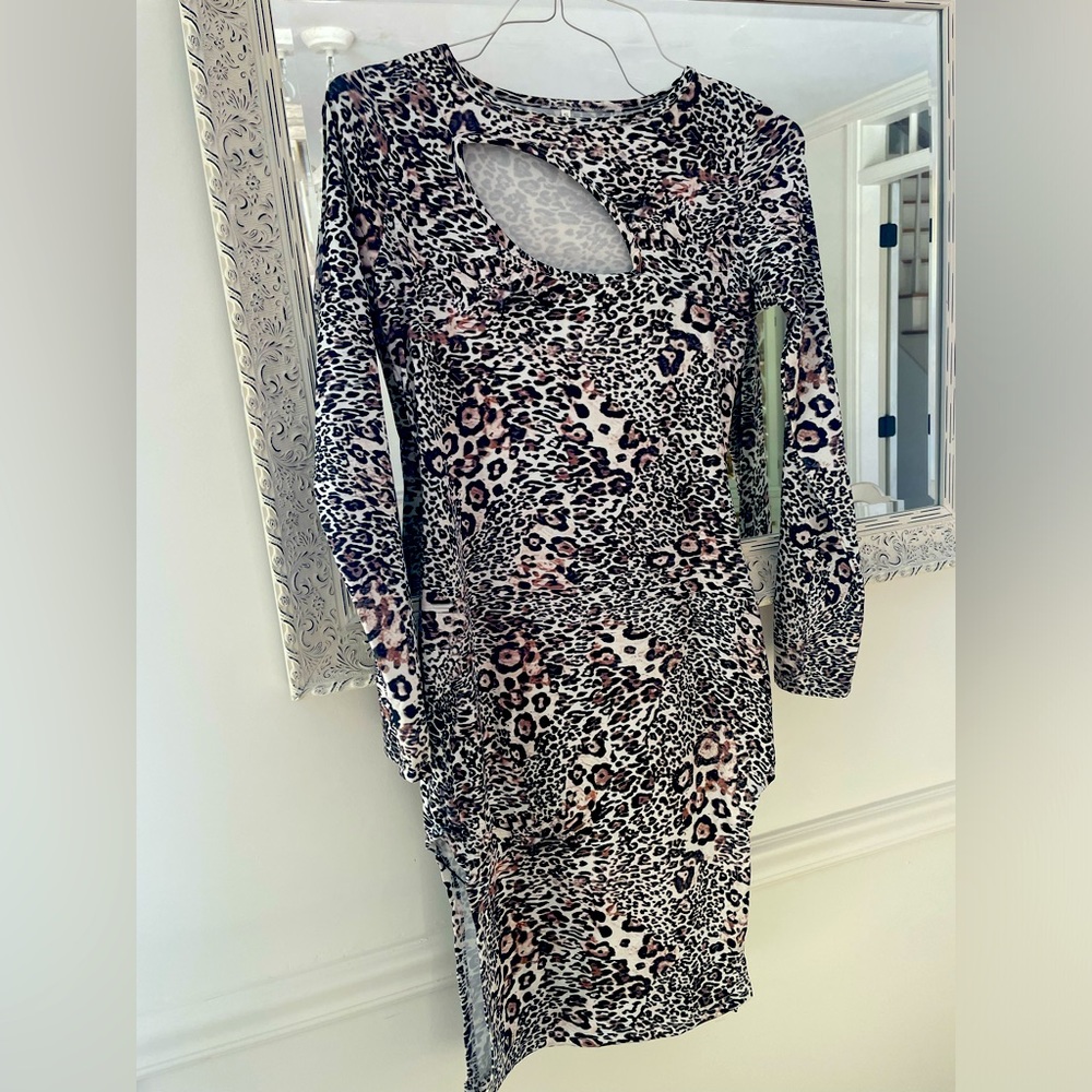 Animal Print Dress